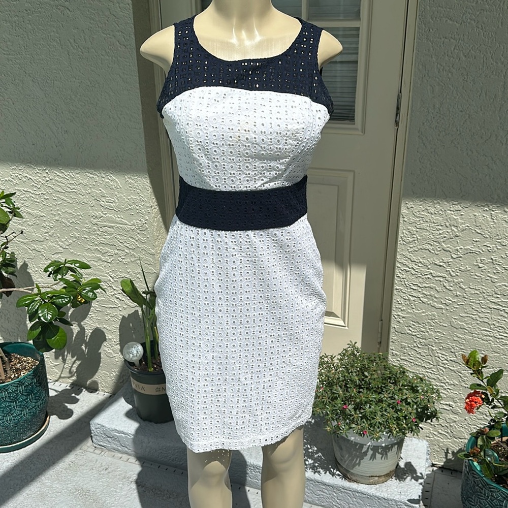 The Limited Dresses | Women The Limited White and Navy Blue Lace Panel Midi